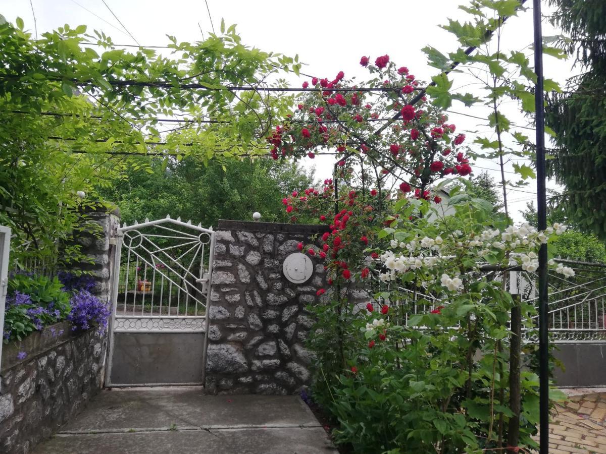 Fuege Vendeghaz Hotel Miskolc Buitenkant foto