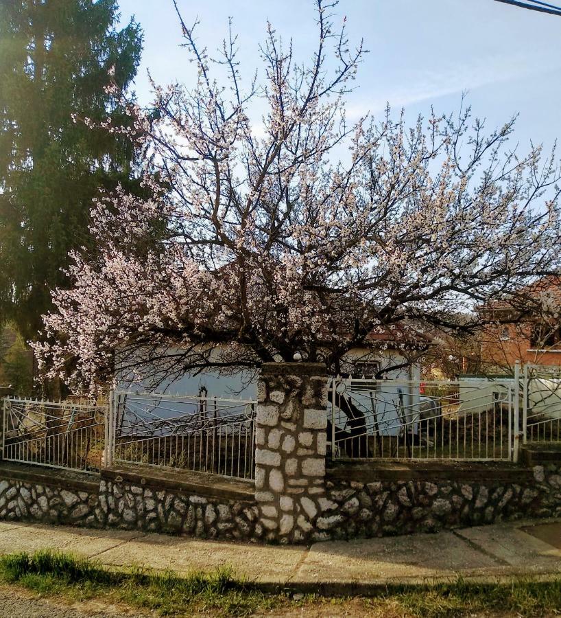 Fuege Vendeghaz Hotel Miskolc Buitenkant foto